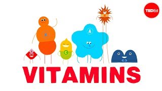 Micronutrition Pt 1  Vitamins and Minerals [upl. by Klayman]