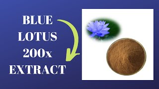 Blue Lotus 200x Extract  Egyptian Nymphaea Caerulea 2001 Extract [upl. by Eleon637]