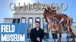 Field Museum Chicago  Guide amp Review 2021 [upl. by Peisch]