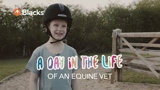 A Day In The Life  Equine Vet [upl. by Ardaed]