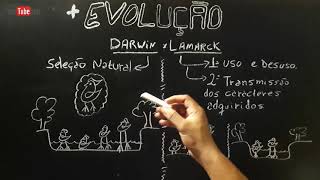 Darwin e Lamarck  EVOLUÇÃO  Resumo Completo [upl. by Asor]