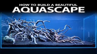 HOW TO BUILD A BEAUTIFUL AQUASCAPE EASILY  INSPIRATION HARDSCAPE LAYOUT [upl. by Stutman]