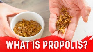 The Unique Benefits of Propolis Bee Glue – DrBerg [upl. by Alban683]