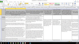 How to Create a Literature Matrix Excel [upl. by Erminna]