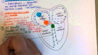 Science of the Heart [upl. by Atem]