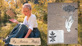 How a Green Witch Profiles Herbs  My Materia Medica Entries [upl. by Miguela645]