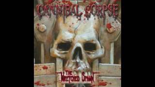 Cannibal Corpse  Rotted Body Landslide [upl. by Aicirtap]