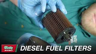 How To Change Diesel Fuel Filters [upl. by Enahc536]