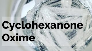 Cyclohexanone Oxime Organic Synthesis [upl. by Heigho86]