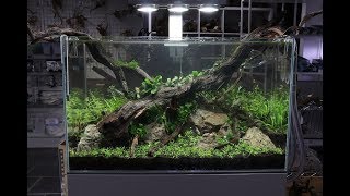 Nature Aquarium Aquascape Tutorial  The ADA Way By Aquarium Gardens [upl. by Ferrand]