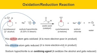 Green Oxidation of Cyclohexanol Experiment Part 1 Prelab [upl. by Naujet]