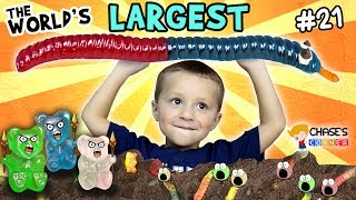 Chases Corner Worlds Largest Gummy Worm 21  DOH MUCH FUN [upl. by Novyart]