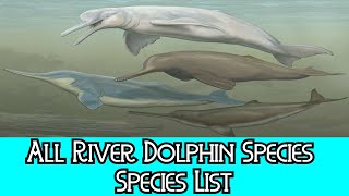 All River Dolphin Species  Species List [upl. by Onirotciv]