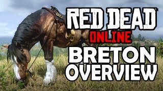 Breton Overview  Red Dead Online Horses  Red Dead Redemption 2 [upl. by Ynor]