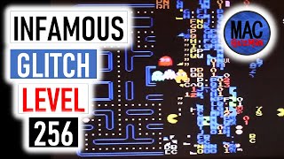 How To Play the Infamous PACMAN 256 level  famous Pacman kill screen [upl. by Narod301]