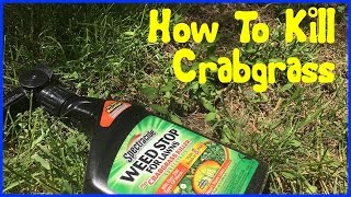 How to Kill Crabgrass  Spectracide Crabgrass Killer [upl. by Gnof]