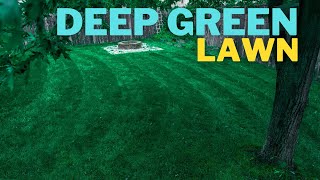 🟢 Make your ugly lawn DARK GREEN in 3 days [upl. by Oilegor]