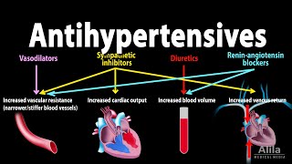 Antihypertensive Medications  Pharmacology Animation [upl. by Yenttihw]