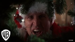 National Lampoons Christmas Vacation  Squirrel Scene  Warner Bros Entertainment [upl. by Esorrebma]