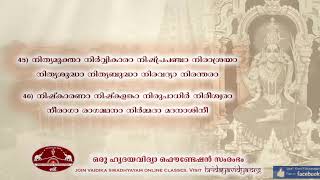 Sri Lalita Sahasranama Stotram Malayalam  By Sri Vidyasagar Gurumoorthi [upl. by Nylzzaj825]