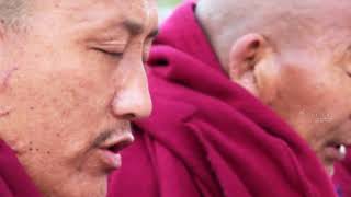 Dalai Lama Biography and Life Story  Full Documentary [upl. by Johanan]