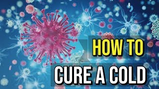 How To Get Rid Of A Cold Fast  5 Quick Ways [upl. by Ylekalb728]