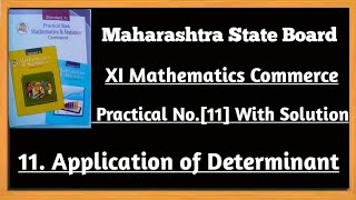 11th Commerce Practical with Solution Maths1 Ch11 Application of Determinant [upl. by Elatnahc]