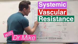 Systemic Vascular Resistance Total Peripheral Resistance  Cardiology [upl. by Sprung]