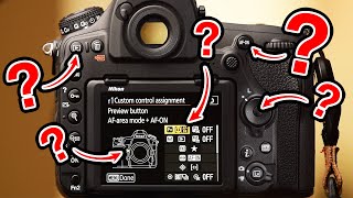 My Camera Settings for Wildlife Photography Best Settings [upl. by Eytak]