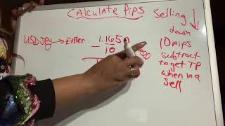 Calculating Pips with Basic Forex Pairs [upl. by Cann]