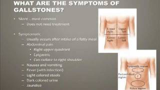 Diseases of the Gallbladder [upl. by Jacey722]