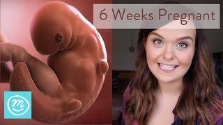 6 Weeks Pregnant What You Need To Know  Channel Mum [upl. by Pubilis]