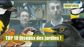 TOP 10 oiseaux des jardins [upl. by Aekahs181]