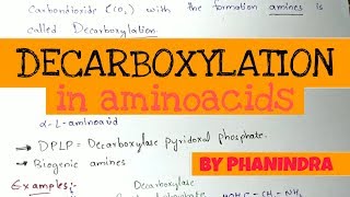 Decarboxylation of Aminoacids  Aminoacids metabolism [upl. by Hannad]