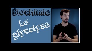 Cours de biochimie Glycolyse [upl. by Yenttihw]