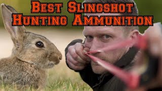 Catapult  Slingshot Ammo Choice for Hunting [upl. by Eelirol624]