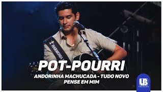 Léo Magalhães  Andorinha Machucada Tudo De Novo Pense Em Mim  DVD Ao Vivo em Goiânia [upl. by Akla]