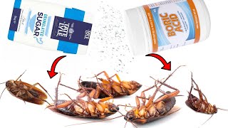 How To Kill Cockroaches With Boric Acid and Sugar [upl. by Rovner]