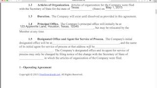 Write a Free Single Member LLC Operating Agreement  PDF  Word [upl. by Lawley]