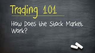 Trading 101 How Does the Stock Market Work [upl. by Ykvir]