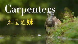 木匠兄妹Carpenters（珍藏CD分享） [upl. by Wandis9]