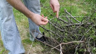 How to bundle branches with string [upl. by Aniweta]