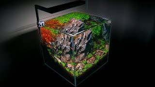 SETTING UP A SMALL AQUARIUM  NANO AQUASCAPE [upl. by Yllitnahc473]