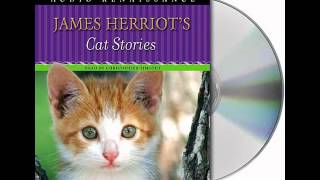 James Herriots Cat StoriesAudiobook Excerpt [upl. by Leimaj210]