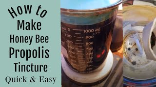 How to Make a Bee Propolis Tincture Quick and Easy [upl. by Esertap]