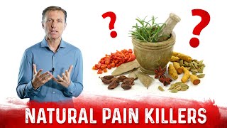 The 6 Best Natural Pain Killers Dr Berg Recommendation [upl. by Flanna]