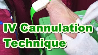 How to Insert IV Cannula  IV Cannulation Technique  Branula  Intravenous Catheter [upl. by Linnell156]