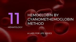 HAEMATOPOIESIS  OVERVIEW  DrSonu Yadav  Pathology Kingdom  Haematology [upl. by Duke909]