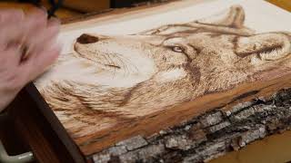 Understanding Typical Woodburning Mistakes [upl. by Alister540]