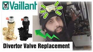 Vaillant EcoTec Diverter Valve Replacement  FULL [upl. by Allemap455]